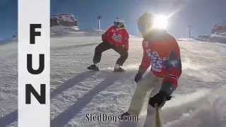 Sled Dogs Snowskates  New sport on the slopes [upl. by Taite299]