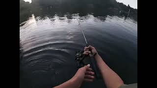 Fishing at Emmarentia dam jhb [upl. by Dirraj]