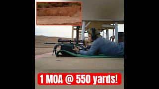 6mm Creedmoor Springfield Waypoint 2020  1 Shot 1 GONG  springfield creedmoor shooting [upl. by Hnahc]