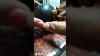 Open Mangosteen yummy fruit satisfyingvideo short [upl. by Tolley]