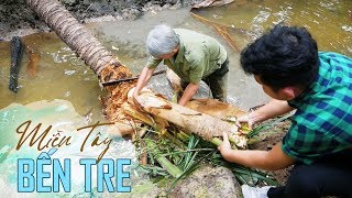 Lấy củ hủ dừa nấu bữa ăn hoành tráng ở Miền Tây Bến Tre Việt Nam [upl. by Stirling]