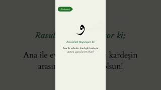 Geceye bir hadis alanyademirtaş [upl. by Bently]