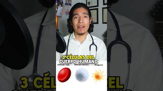 Glóbulos rojos blancos y plaquetas sabiasque medicina [upl. by Jeffers]