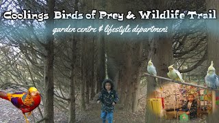 Coolings Garden Centre  Coolings Lifestyle  Willows Birds of Prey Nature Trail 3n1 day [upl. by Carnes]