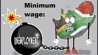 DA says NO to South Africas minimum wage increase [upl. by Obie]