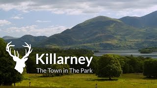 Visit Killarney  Official Destination Video [upl. by Dorita]