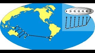 Analisis de endemismos por Parcimonia PAE TNT [upl. by Assirac]