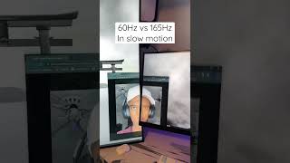 60Hz vs 165Hz in slow motion [upl. by Leugimesoj99]