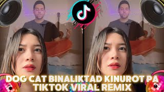 Dog Cat Binaliktad Kinurot Pa  TikTok Viral Remix  Budots Dance  DjPauloRemix [upl. by Amaral]