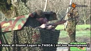 Caccia alle cesene Lugari Video [upl. by Inajar]