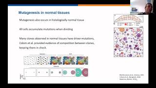 TT01I  Mutational signatures and experimental elucidation  Arnoud Boot  Tutorials  ISMB 2020 [upl. by Greggory225]