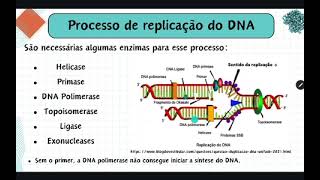 Enzimas envolvidas na replicação do DNA [upl. by Paff]