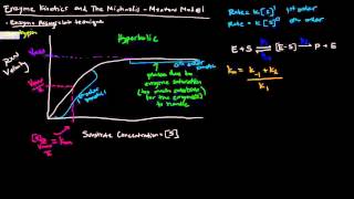 Enzymes Part 2 of 5  Enzyme Kinetics and The Michaelis Menten Model [upl. by Aineval]