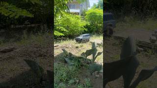 I’m back… Trail run with my scx10ii axialscx10iilc80axial [upl. by Leemaj]