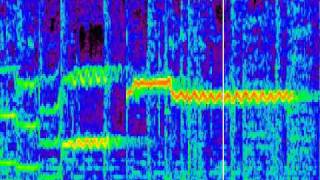 Spectrogram of quotDivas Dancequot performed by Laura aka disneydiva7 [upl. by Petula]