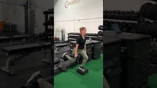 Dumbbell Rear Foot Elevated RFE Split Squat from Deficit [upl. by Ankeny654]