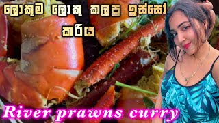 2022 ŕ¶…ŕ·€ŕ·ŕ·Źŕ¶±ŕ¶¸ ŕ·€ŕ·“ŕ¶©ŕ·’ŕ¶şŕ·ťŕ·€ đź™Ź  river prawns curry  ASMR EATING đź¦ ridmapilapitiya [upl. by Ominoreg]