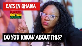 The Scariest Experience I Had With Cats In Ghana 🇬🇭 Shocked To Know These 🇳🇬🇬🇭 [upl. by Vine]