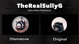 Pedro Pedro Otamatone Side by Side Comparison [upl. by Fleisher]