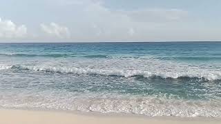 A Walk Along The Drill Hall Beach In Barbados🏖🇧🇧 [upl. by Ryder]