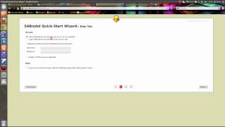 How to Setup SabNZBD To download from Usenet [upl. by Htyderem799]