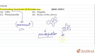 Locomotory structures of Amoeba are [upl. by Clarkson886]