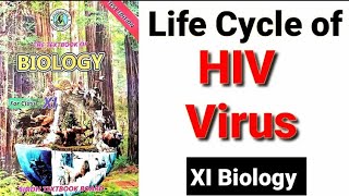 Life Cycle of HIV Virus XI Biology [upl. by Siravart]