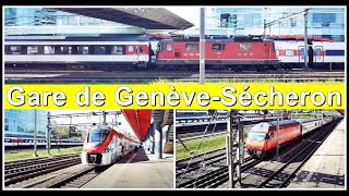 Gare de GenèveSécheron  Zugsichtungen beim Bahnhof Genf Sécheron Stadt Genf Schweiz 2021 [upl. by Aivizt]