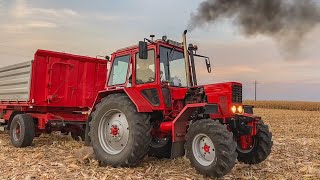 Kukorica aratás  MTZ 82 Turbo  Schwarzmüller  2x MBP  Claas Mega 204 [upl. by Nnaesor]