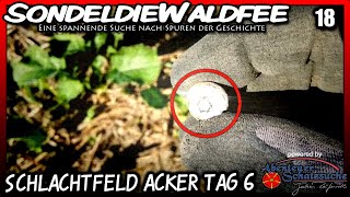 🔴 SchlachtfeldAcker Tag 6 🔴 Sondeln Schatzsuche Metal detecting Treasure hunt [upl. by Tiloine]