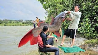 Thôi Xong Rồi  Thủy Điện Xả Lũ Chài Được Cá Lăng Khủng Và Cá Éc Quá Đã  Tập 2 [upl. by Lakin]