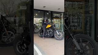 Harley bikeiron 883harleydavidsonharleyloverviralshortvideo [upl. by Aitnis520]