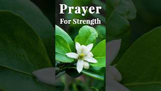 Prayer For Strenth [upl. by Mauldon]