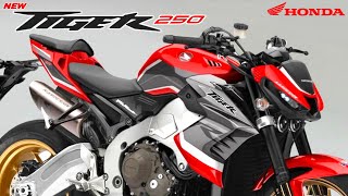 HARGA 20 JUTAN❗HONDA TIGER REBORN 2024❗RESMI MENGASPAL DISAIN SANGAR  MOTOR TERBARU 2024 [upl. by Fabio]