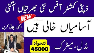 Deputy Commissioner Office Jobs 2024 Govt New Jobs in Pakistan 2024  Pakistan Government job 2024 [upl. by Einnej]