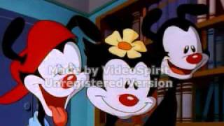 Animaniacs Chalkboard Bungle scene Original AudioFlipped [upl. by Hughett421]