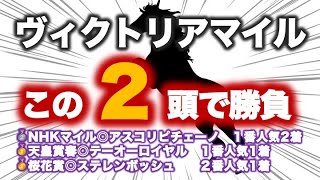 ヴィクトリアマイル2024 予想 前残り警報。過去データが示す穴馬の共通点アリ！！東大生の予想 [upl. by Aicala39]