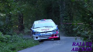 Rallye de l’Épine – Avant Pays Savoyard 2024  Show amp Mistakes [upl. by Ahsima411]