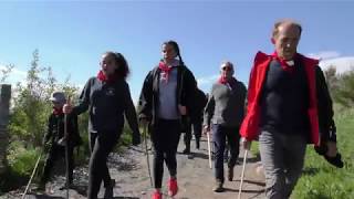 Elevage RodierSartre  Transhumance 2019 au col de Bonnecombe sur lAubrac [upl. by Ajna35]