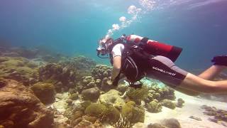 ✦ Ocenreef Full Face Masker Dive Directorsbay ✦ [upl. by Irvin]