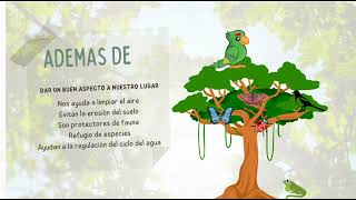 Día del árbol 28 de Junio Calendario Ambiental [upl. by Joed614]