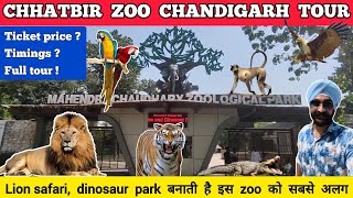 Chhatbir zoo in chandigarh  chattbir zoo chandigarh zoo ticket price 2023  Chandigarh chidiya ghar [upl. by Aunson]