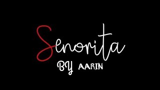 AARIN  SENORITA  VISUALIZER  PROD BY  STEADYYY3TIMES  2024 [upl. by Ahsinrad]