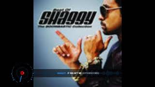 Shaggy  It Wasnt Me DJ Markkinhos Extended Version [upl. by Ylicec103]