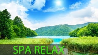 6 Hour Spa Relax Music Background Music Relaxation Music Soothing Music Calming Music ☯263 [upl. by Emmy]