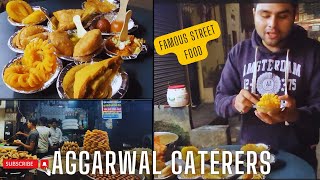 Purani Dilli ka street food Uttam nagar me😯  Aggarwal caterers  Delhi Street food [upl. by Ahsimik]