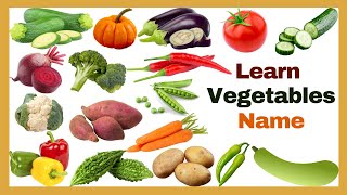 Vegetables Vocabulary ll 20 Vegetables Name in English With Pictures ll All Vegetables Names [upl. by Aratehs]