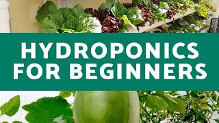 Hydroponics for Beginners  Everything You Need to Know for Successful Hydroponic Growth [upl. by Adeehsar]