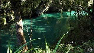 Calming relaxing river in the New Zealand mountains 4K HD 70min [upl. by Amelita]