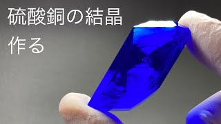 硫酸銅の結晶を作る！！ [upl. by Thorndike]